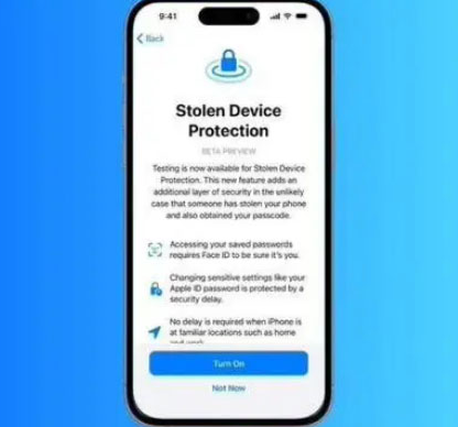 荔湾苹果授权维修店分享被盗设备保护功能开启方法 