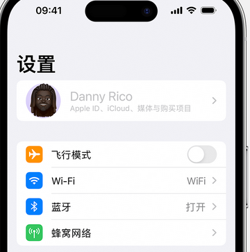 荔湾appleID维修服务iPhone设置中Apple ID显示为灰色无法使用