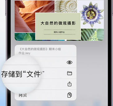 荔湾apple维修中心分享iPhone文件应用中存储和找到下载文件