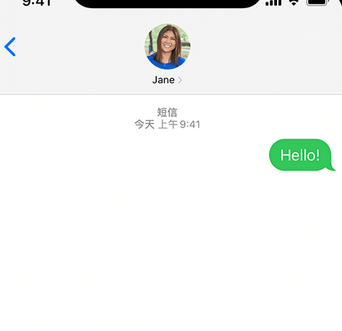 荔湾apple维修iPhone上无法正常发送iMessage信息