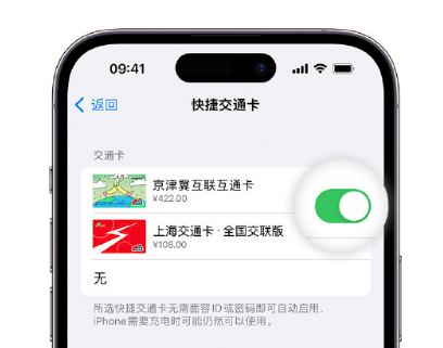 荔湾apple维修点分享iPhone上更换Apple Pay快捷交通卡手绘卡面 