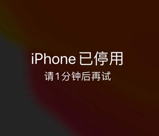 荔湾苹果手机维修分享:iPhone 显示“不可用”或“已停用”怎么办？还能保留数据吗？ 