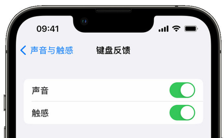 荔湾苹果手机维修分享iPhone 14触感键盘使用方法 