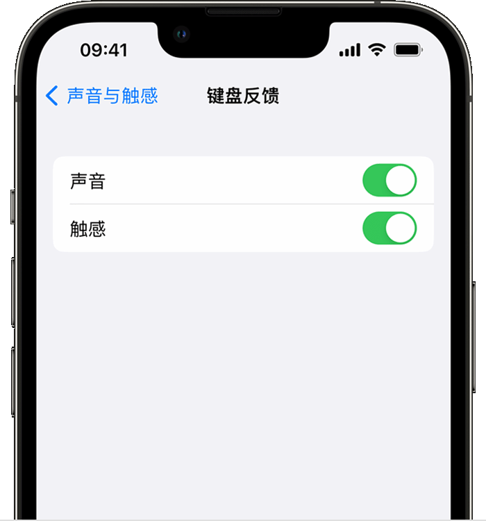 荔湾苹果14维修店分享如何在 iPhone 14 机型中使用触感键盘 