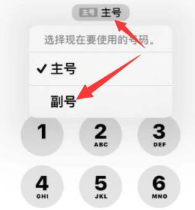 荔湾苹果14维修店分享iPhone 14 Pro Max使用副卡打电话的方法 