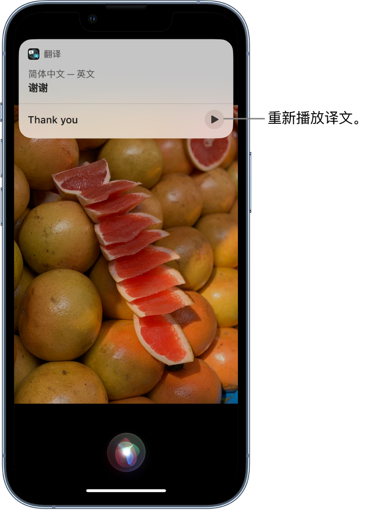 荔湾苹果14维修分享 iPhone 14 机型中使用 Siri：了解 Siri 能帮你做什么 