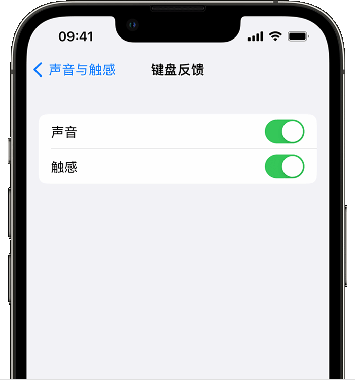 荔湾苹果14维修分享iPhone 14 系列机型如何开启键盘声音或触感反馈 