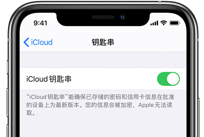 荔湾苹果手机维修分享在 iPhone 上开启 iCloud 钥匙串之后会储存哪些信息 