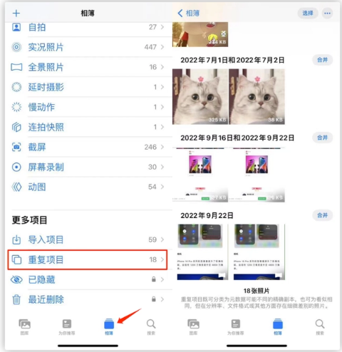 荔湾苹果手机维修分享iOS 16 中相册重复项目功能使用方法 