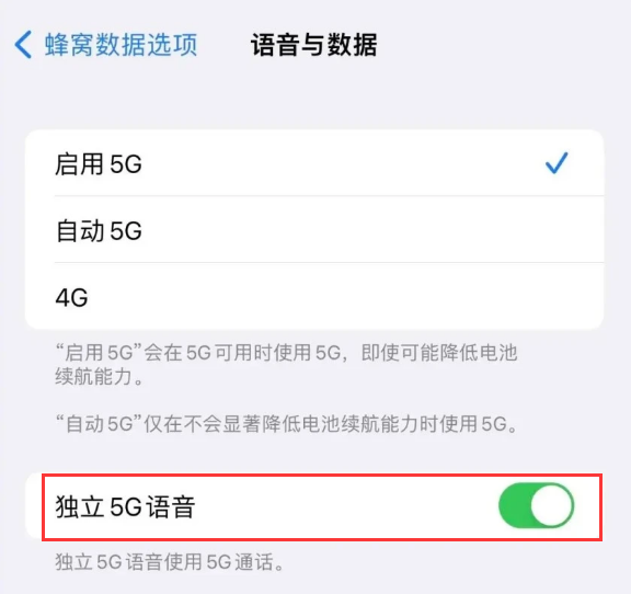 荔湾苹果14维修分享iPhone 14 Pro如何开启VoNR 