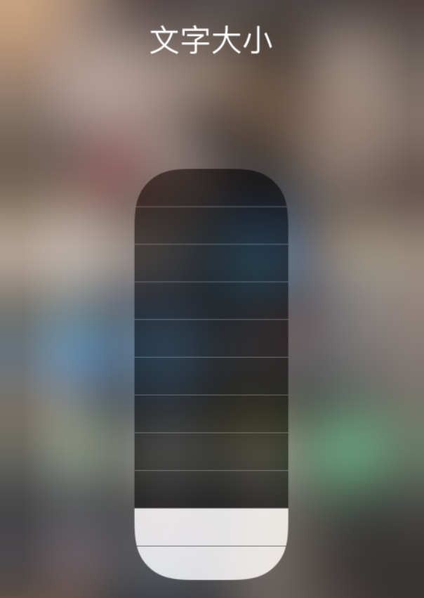 荔湾苹果手机维修分享小技巧：在 iPhone 控制中心快速调节字体大小 