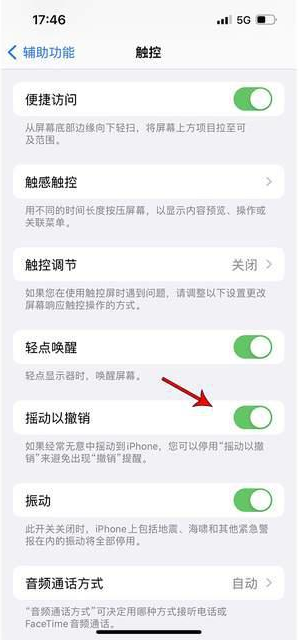 荔湾苹果手机维修分享iPhone手机如何设置摇一摇删除文字 