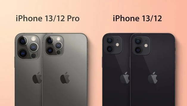 荔湾苹果手机维修分享iPhone 13 摄像头长什么样 