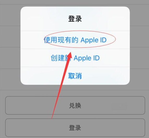 荔湾苹果手机维修分享两台iPhone设备可以同时登录一个Apple ID吗 
