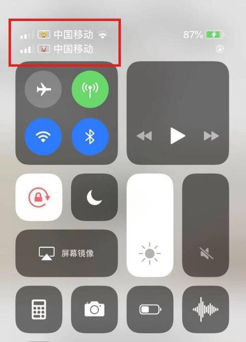 荔湾苹果手机维修分享为 iPhone 12 双卡设置标签 