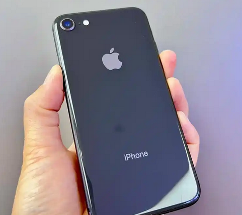 荔湾苹果8系统维修分享iPhone8手机系统升级后无法开机如何修复 
